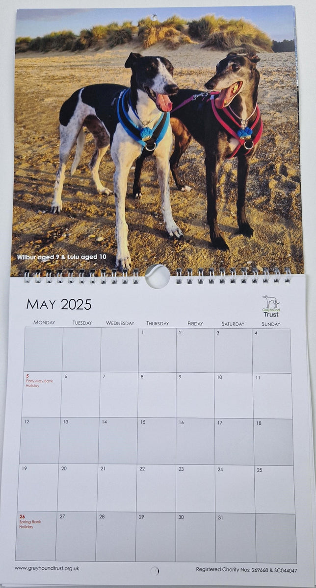 2025 Calendar NEW GreyHound Store 2025 Calendar NEW GreyHound Store