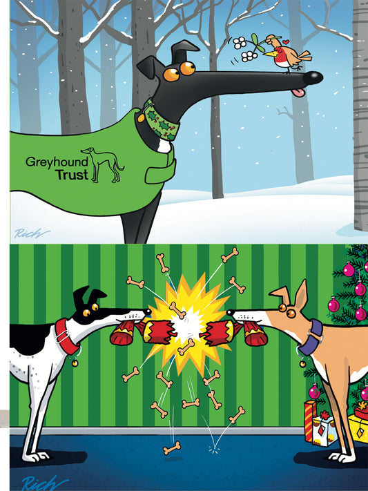 2025 Richard Skipworth Christmas Cards