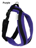 Harness