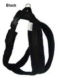 Harness