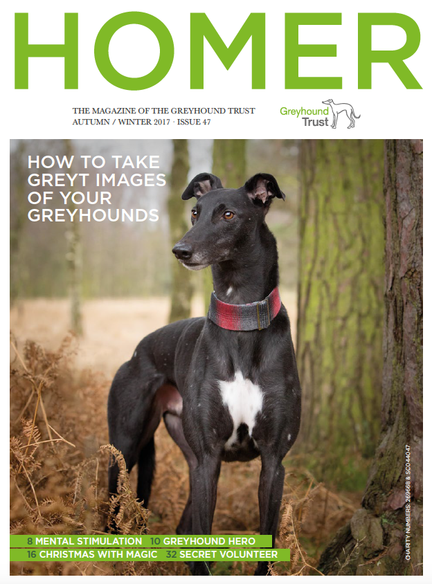 The sales greyhound trust
