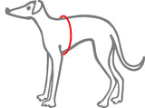 Harness
