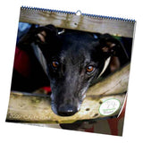 Greyhound Trust Calendar 2027