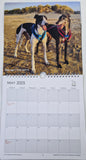 2025 Calendar - NEW