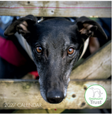 Greyhound Trust Calendar 2027