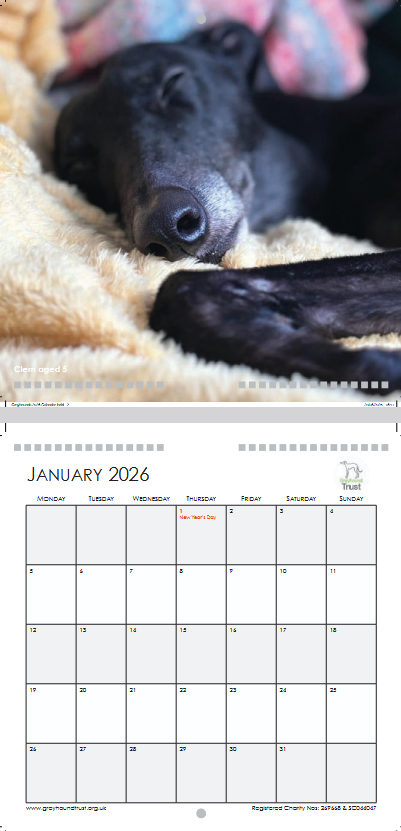 2026 Calendar - NEW
