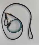 Luxury Leather Lead & Collar Set