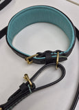 Luxury Leather Lead & Collar Set