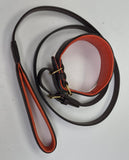 Luxury Leather Lead & Collar Set