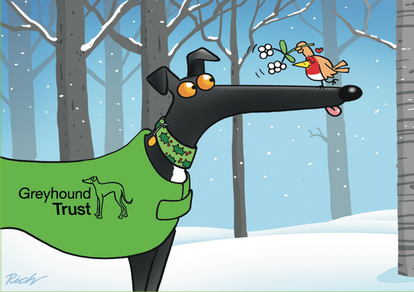 2025 Richard Skipworth Christmas Cards