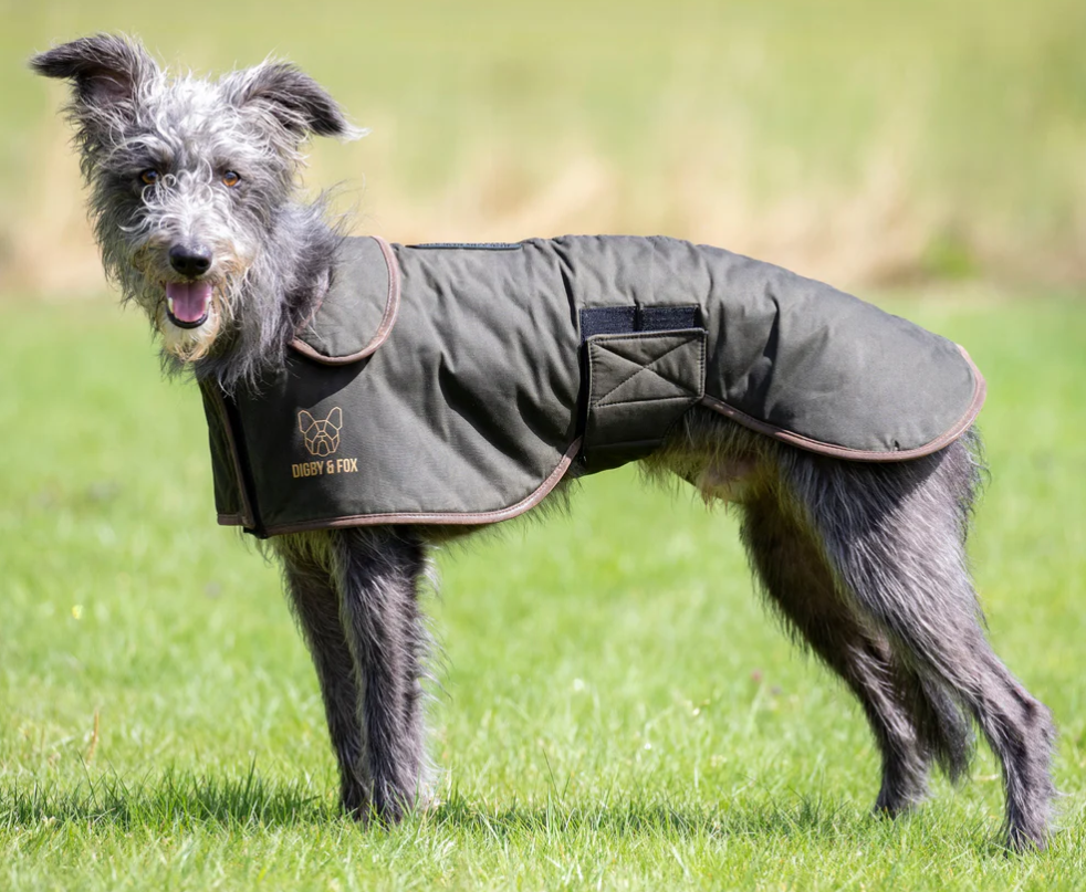 Digby & Fox Greyhound Wax Coat