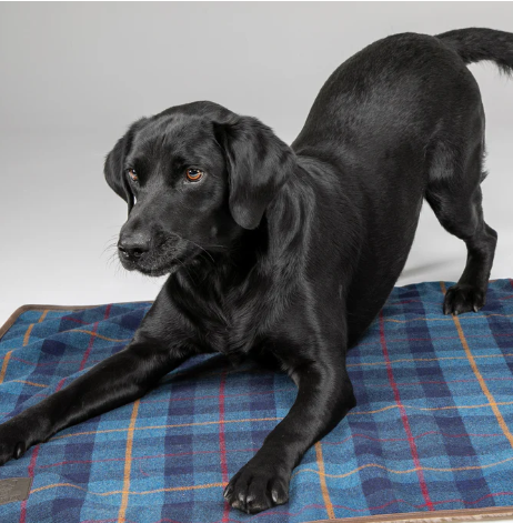 Digby & Fox Tweed Blanket
