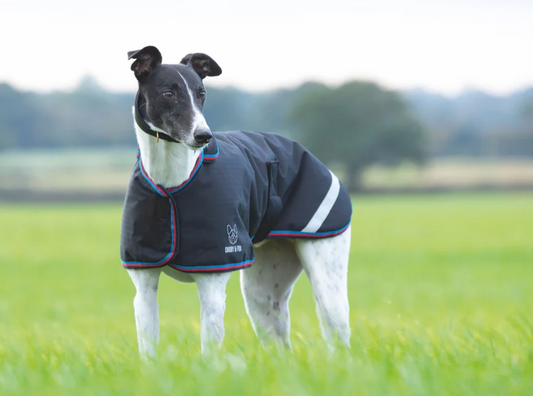 Digby & Fox Waterproof Greyhound Coat