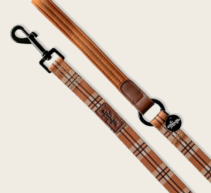 Heritage Lead - Butterscotch Biscuit