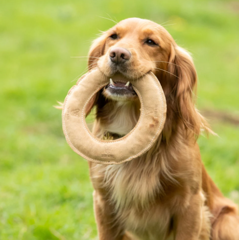 Digby & Fox Leather Frisbee Toy