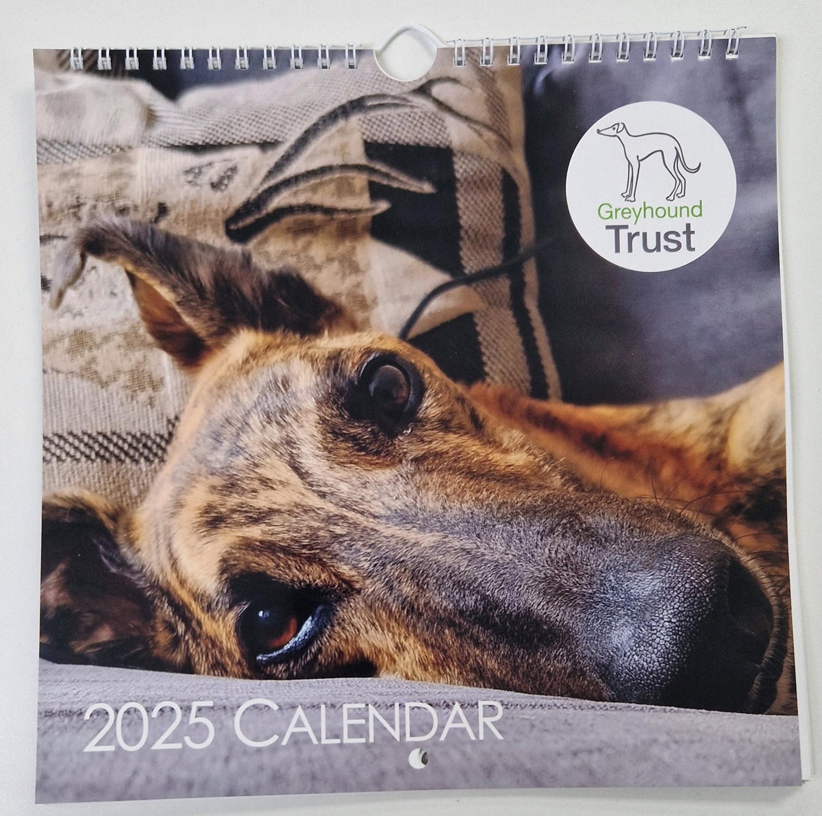 2025 Calendar NEW GreyHound Store