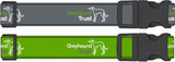 Greyhound Trust House Collar