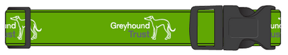 Greyhound Trust House Collar