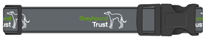 Greyhound Trust House Collar